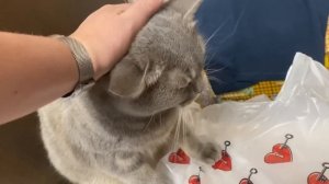 Норильск/Родители уезжают/Чем занимаемся с Мироном.