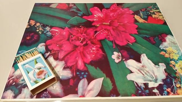 Спички сувенирные :"Ботанический сад АН СССР" Обзор. Филумения смотреть онлайн