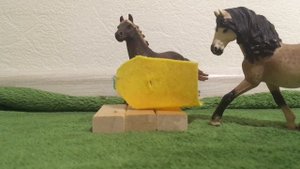 Лошади шляйх Идут в магазин