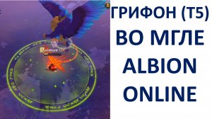 Грифон Т5 во мгле Albion Online (Европа) выпали Чистые перья грифона (эксперт)