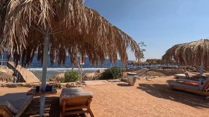 Египет 2024. КАК ЗДЕСЬ СЕЙЧАС⁉️СИТУАЦИЯ на ПЛЯЖЕ Amphoras Blu 4*. РИФ ПОГОДА МОРЕ. Шарм Эль Шейх