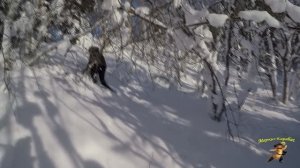 Зимний поход на Сахарную голову. Сахалин