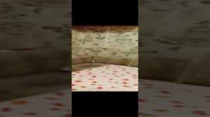 1000003381.mp4