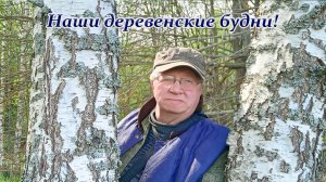 Осталось не долго гулять. Опять все пришлось отложить. В лес не за грибами а за иголками.