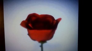 Мои любимые заставки (Перец, 2011-2014)