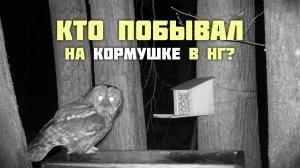 Кто побывал на кормушке в НГ?