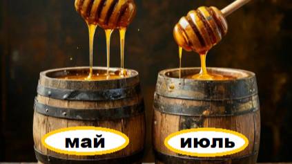 Какие меды соберут пчёлы в системе "Всё включено".