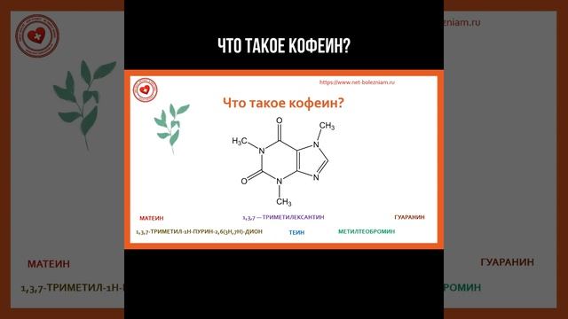 Что такое кофеин? #кофеин #кофе