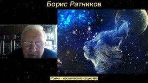 Борис Ратников - Кошки - космические существа.