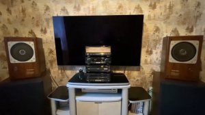 Technics ca10 sb-rx50 Max