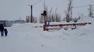 Норильск/База отдыха Горизонт/Лыжная база Оль-гуль/Стадион Заполярник.