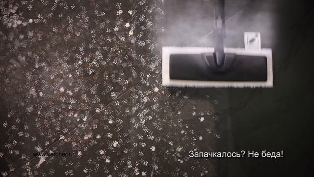 Пароочистители Karcher. Полезный подарок.