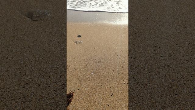 Шикарное январское море #крым #евпатория2025 #черноеморе