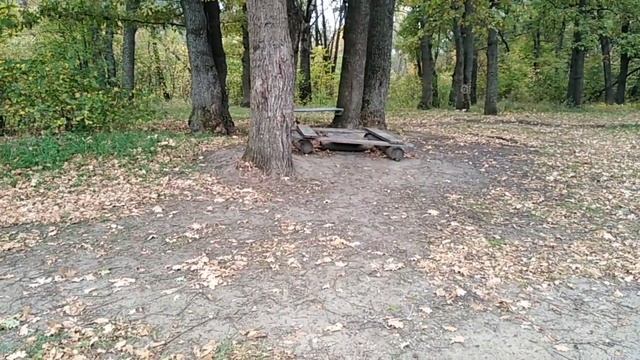 Рыбалка на реке Ворона смотреть онлайн