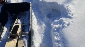 Один на зимовье