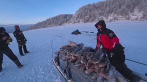 ЗИМНЯЯ РЫБАЛКА ШОК!!! ТАКАЯ РЫБАЛКА БУДЕТ СНИТЬСЯ! НАЛОВИЛИ, АЖ НЕ УНЕСТИ! Шикарная рыбалка.