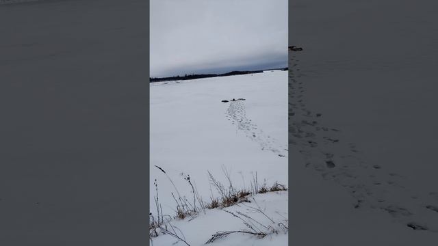 Маржевание, бег с рюкзаком6кг-11км,более подробно в длином видео12. 01.25