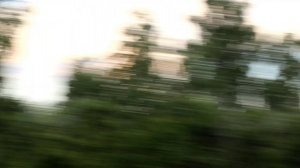 Встреча с совятами )) И крики детенышей ушастой совы )