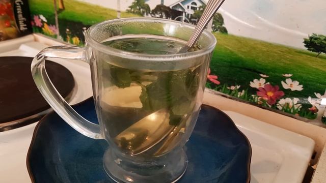 Чай со свежей мятой ☕🌱 #чай #домашняякухня #мята #травы