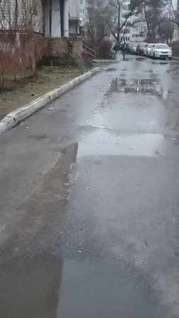 Звенят январские лужи...11.01.2025 Какие сюрпризы нам ещё приготовит погода? #дождливыйянварь