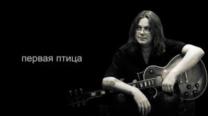 Чиж & Co. Полонез + Слова