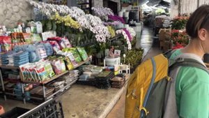 На одном из цветочных рынков Бангкока