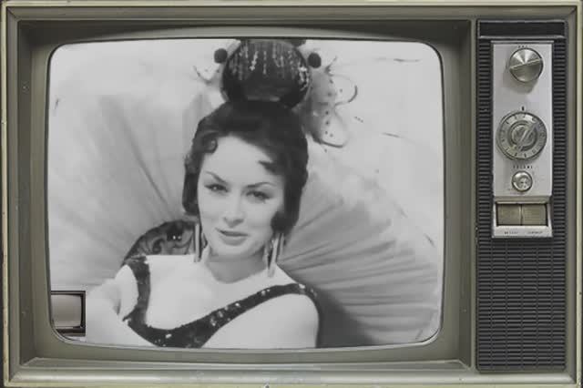 Ференц Легар. Танец стрекоз из оперетты Граф Люксембург. Солистка Татьяна Шмыга (1961) смотреть онлайн