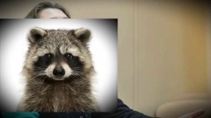 А как там Монтян поживает?..