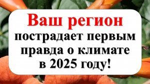 Вся правда о климате в 2025 году!