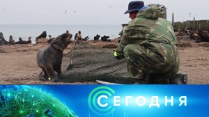 «Сегодня»: 12 января 2025 года. 10:00 | Выпуск новостей | Новости НТВ