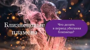 Что делать, как себя вести в период убегания близнеца 😍