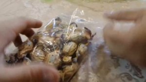 i АТБ Конфеты карамель Капучино Caramel candies Cappuccino куплено в Украине Ukraine 20201023