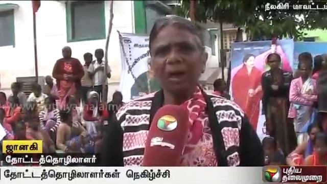 Tea workers pay homage to Jayalalithaa at Kodanadu | Details