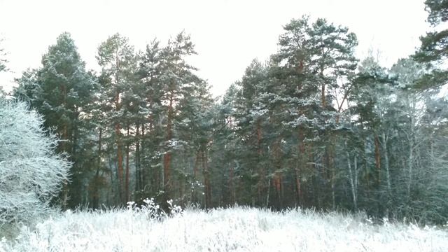 №246.Деревня.Декабрь.