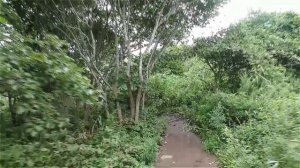 Обратный путь с Тобизина