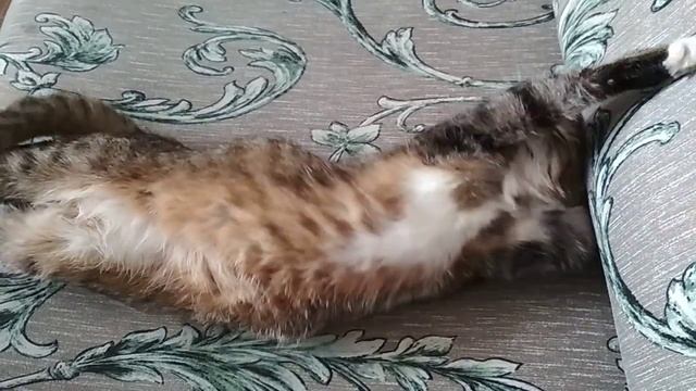 Моя Матильда - Мотя смотреть онлайн