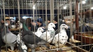 12.01.2025г Ярмарка ст. Бронницы. 3