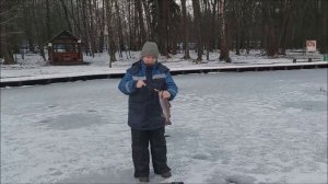 Форель до запуска активна. Клёвое место, Лосиный остров, верхний водоём.