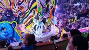 Цирк Гии Эрадзе Самара Новогоднее шоу. Развлечения для детей!