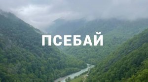ПСЕБАЙ / влог