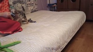 Апорт, Кики!