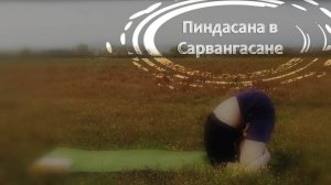 Пиндасана в Сарвангасане / поза эмбриона в сарвангасане  *5 (Техника выполнения асан йоги)