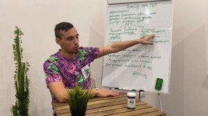 Протеаза Плюс NSP | Энзимотерапия