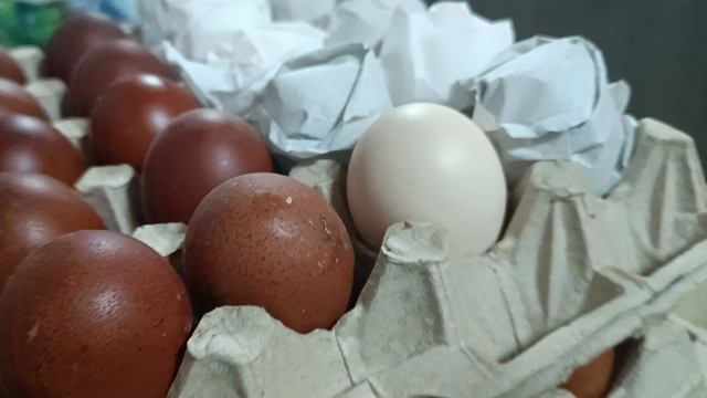 Новые Мараны смотреть онлайн