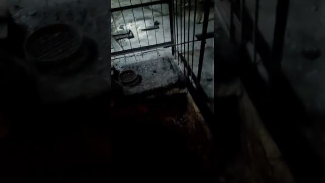 Мельница шаровая для сухого измельчения СМ 432