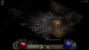 Diablo II Resurrected #10