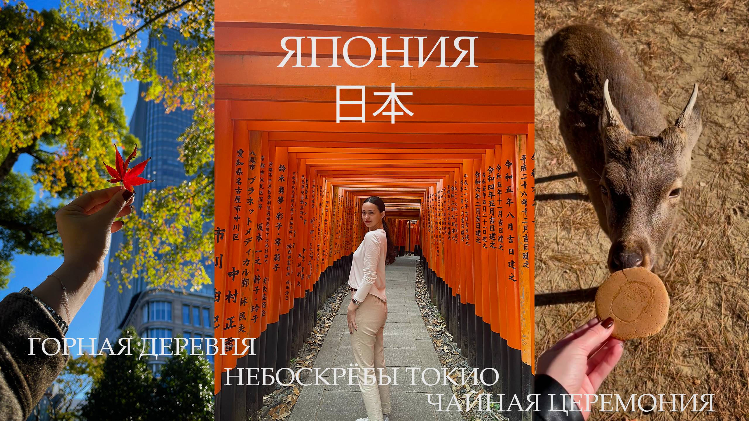 МЕЧТА СБЫЛАСЬ: ЯПОНИЯ|Небоскрёбы Токио, храмы Киото и олени Нара