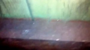 Батя и травы