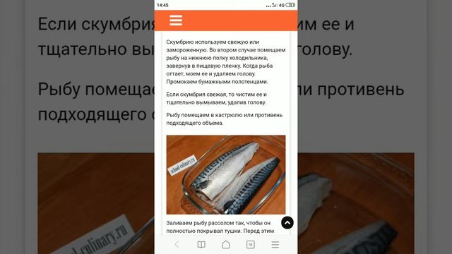 Как посолить скумбрию