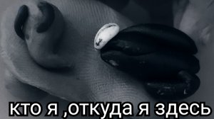 Аткуда я здесь